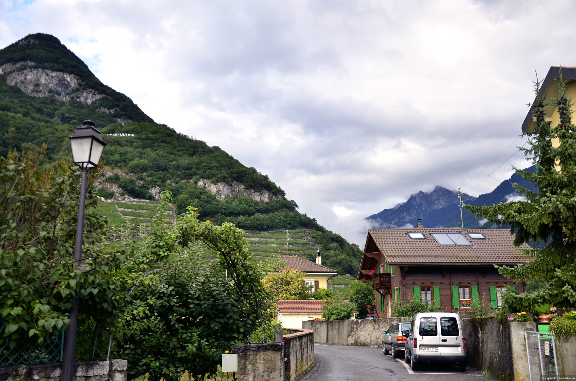 Aigle